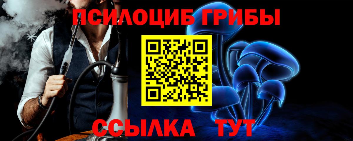Галлюциногенные грибы Psilocybe Лангепас